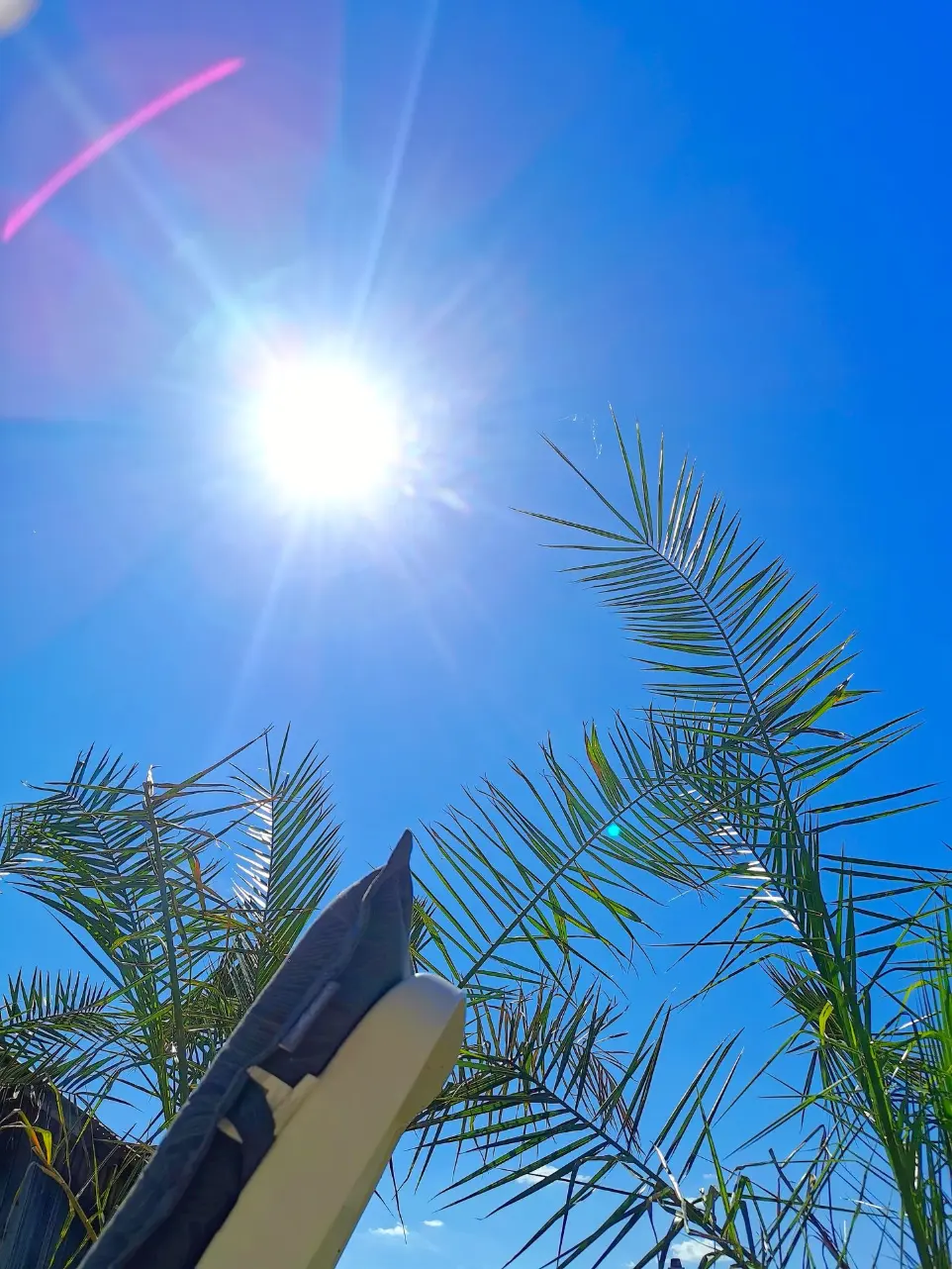 own.SPA Liegeflächen